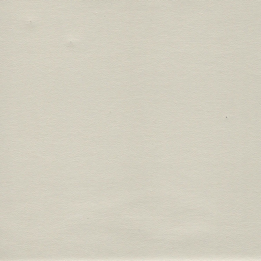 ciervo fs-cristinacaballero