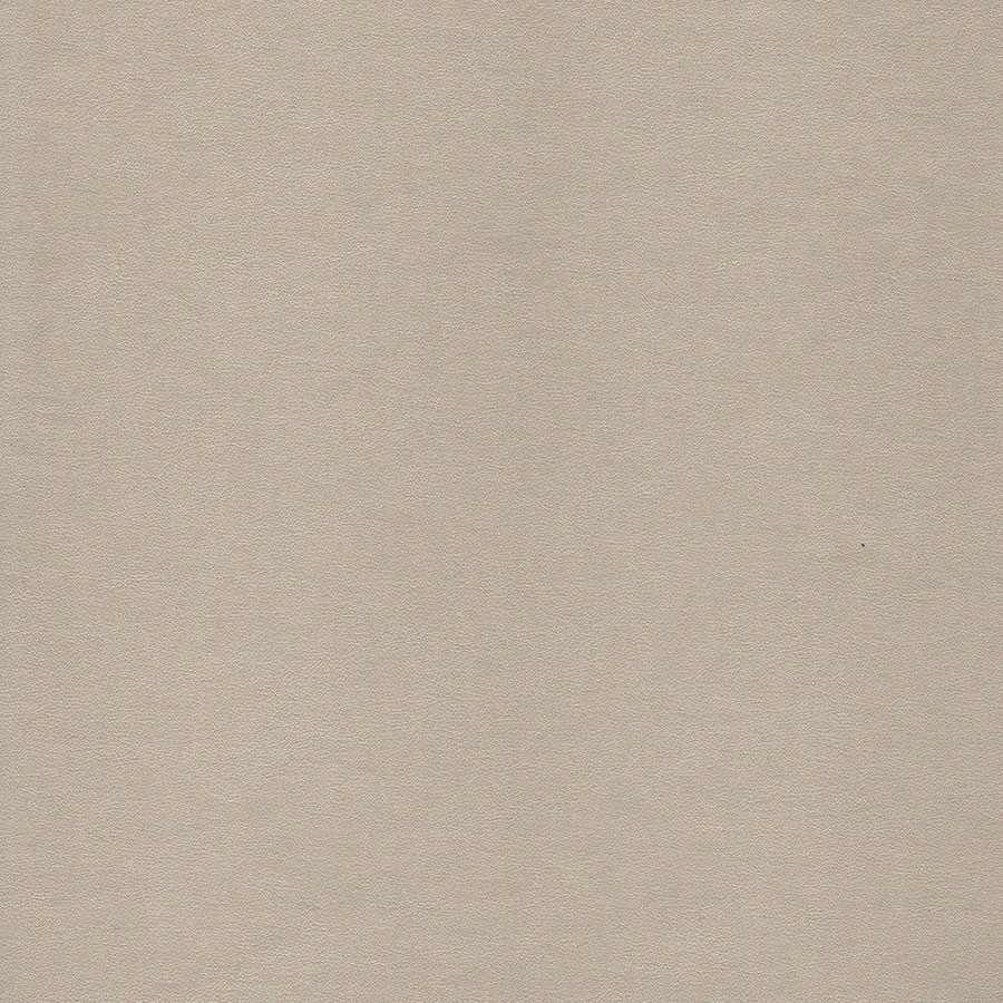 ciervo cl-cristinacaballero