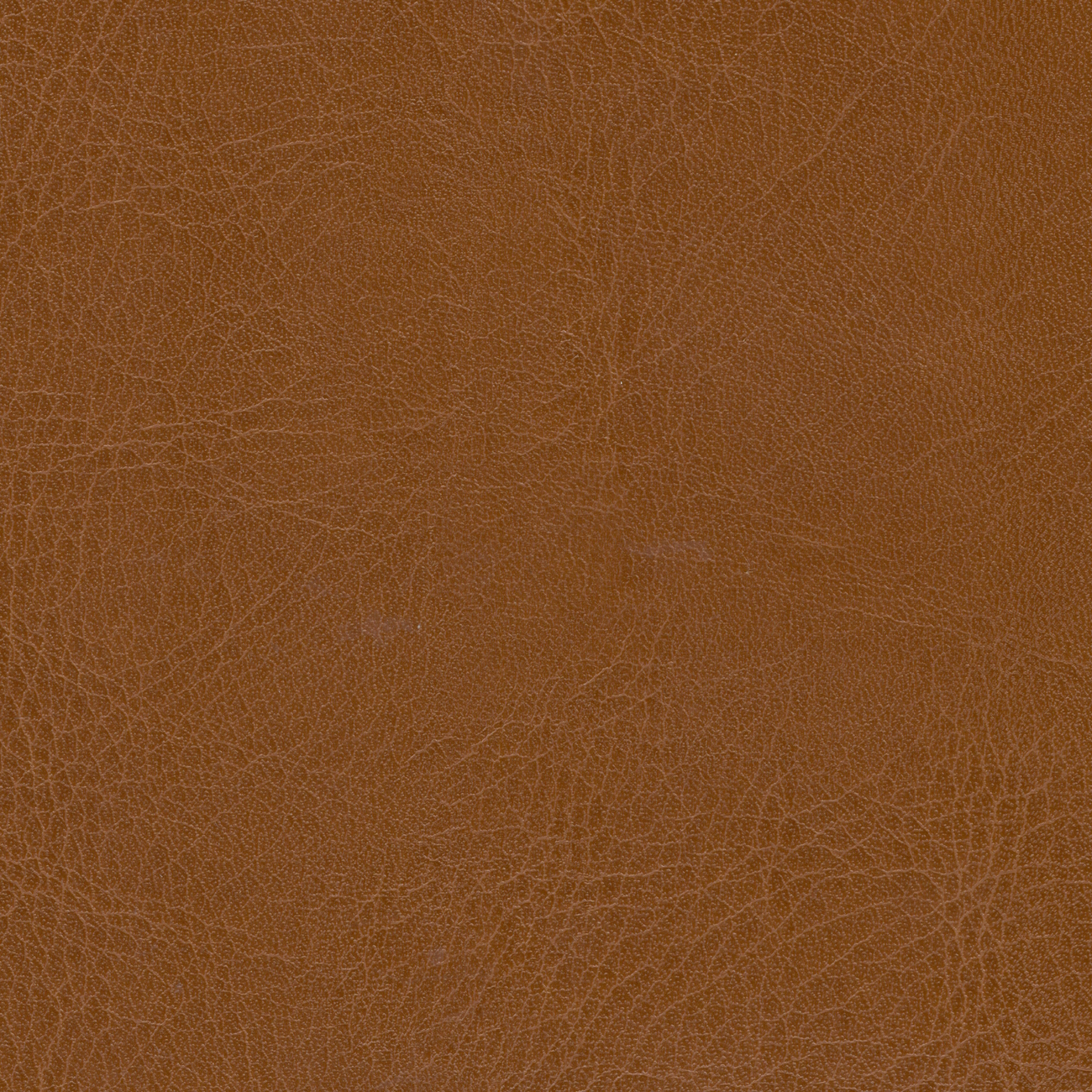 nacar rs-cristinacaballero