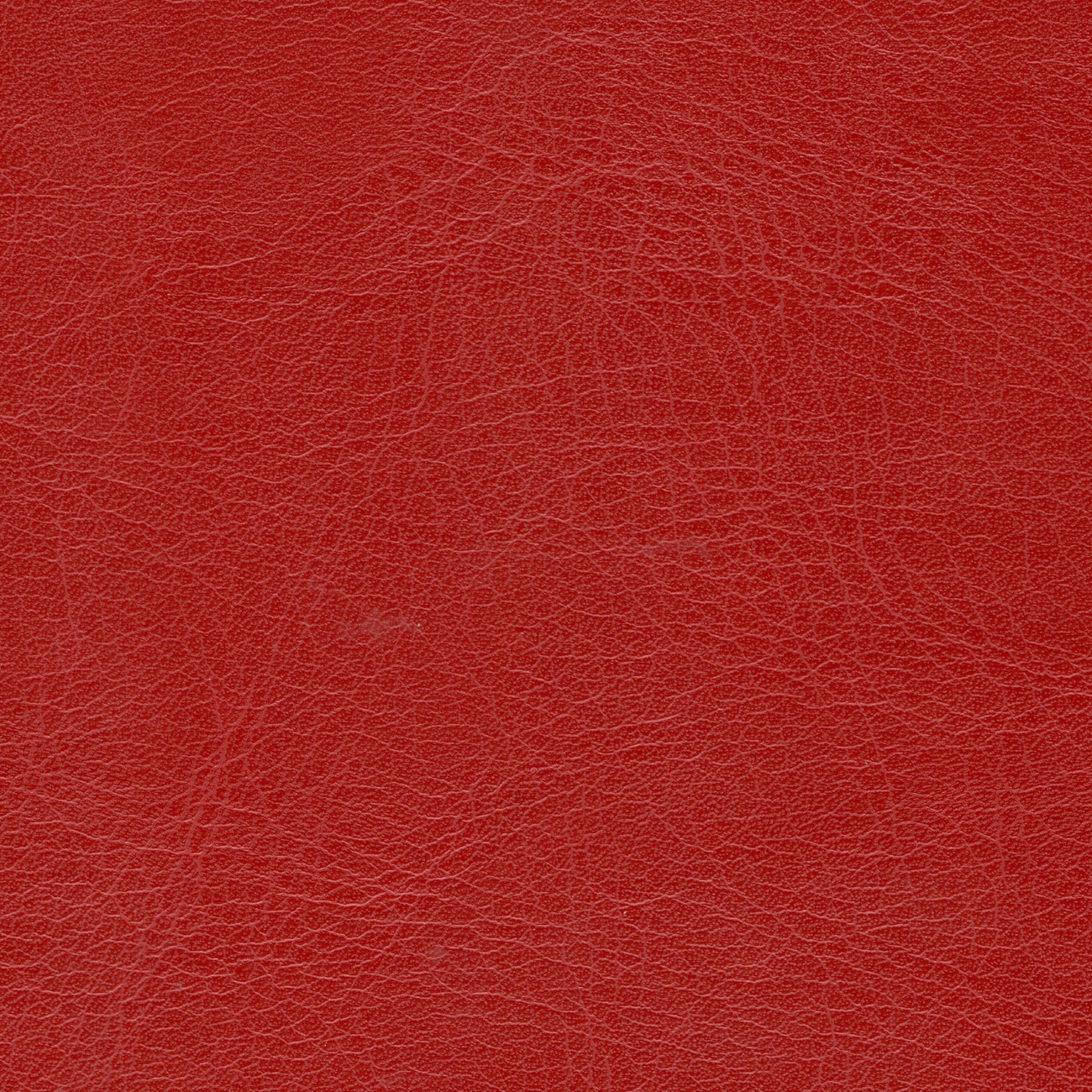 nacar cl-cristinacaballero