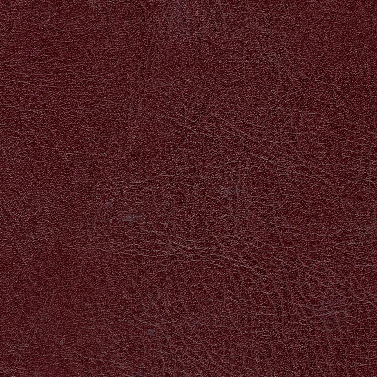 nacar cl-cristinacaballero