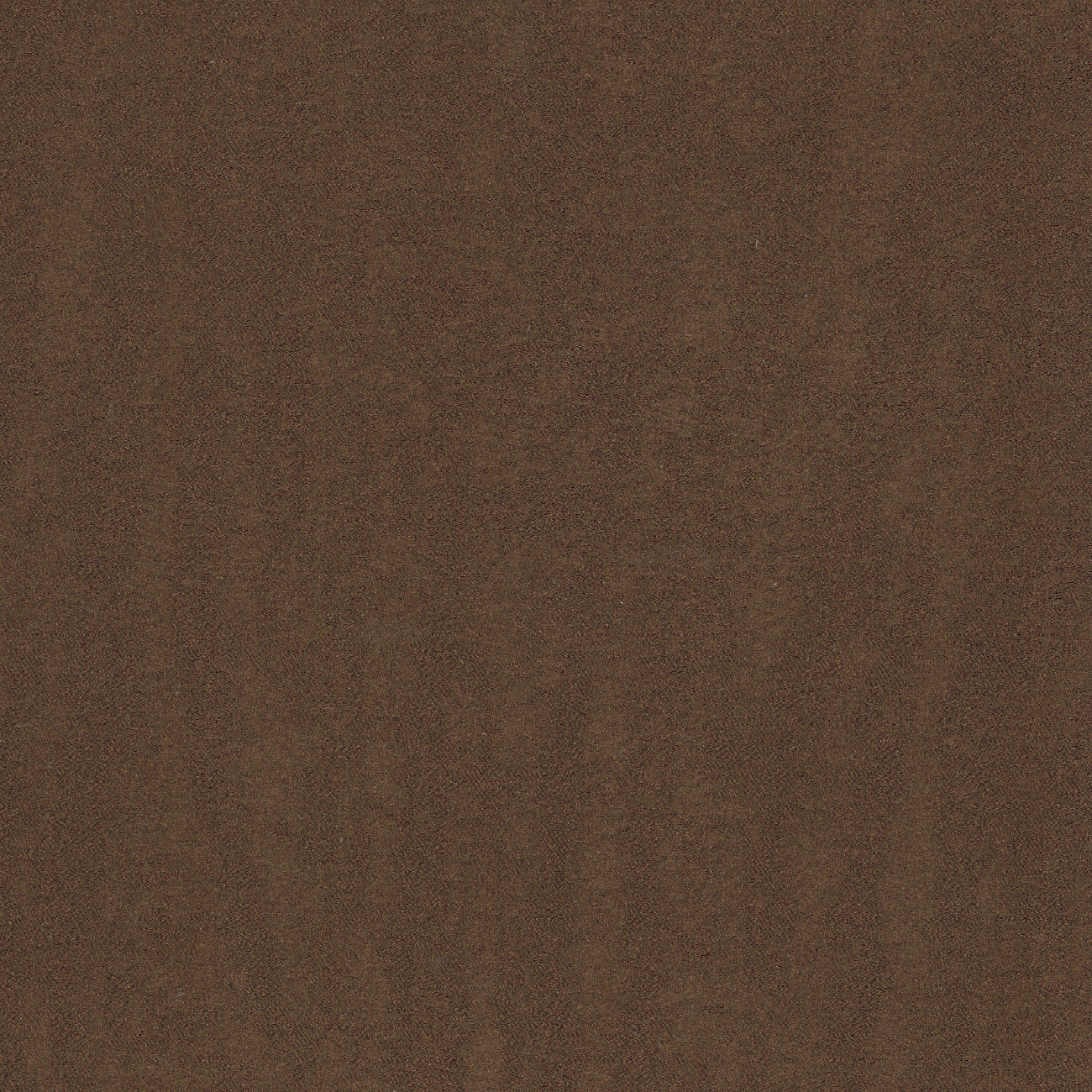 coral ma-cristinacaballero