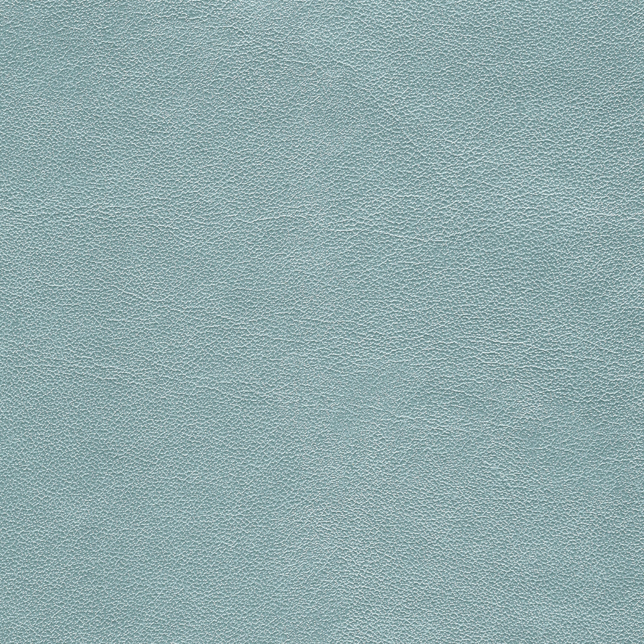 nacar cv-cristinacaballero