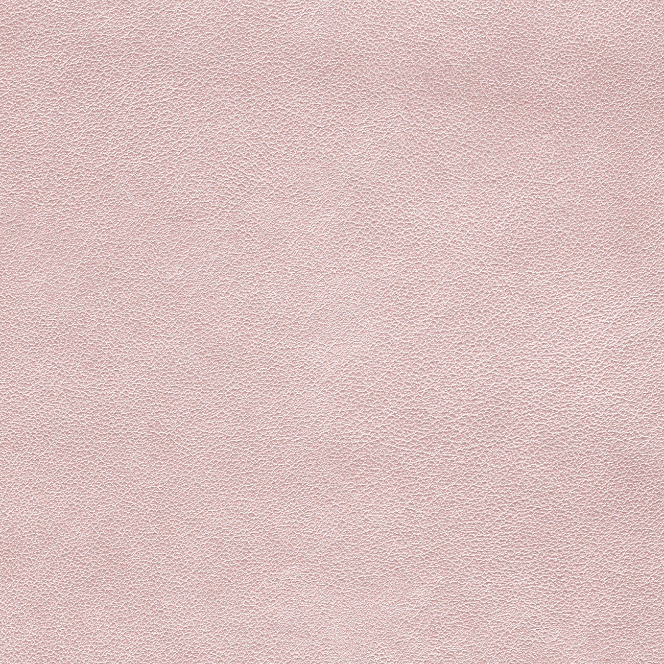 nacar rs-cristinacaballero