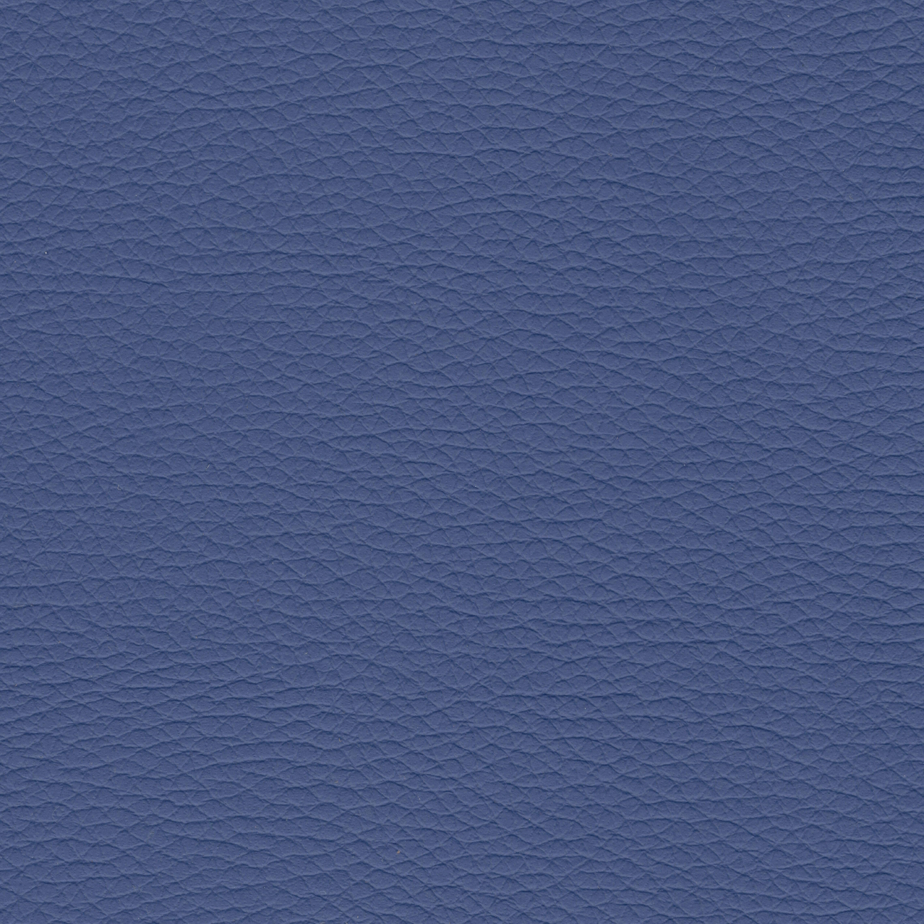 oporto az-cristinacaballero