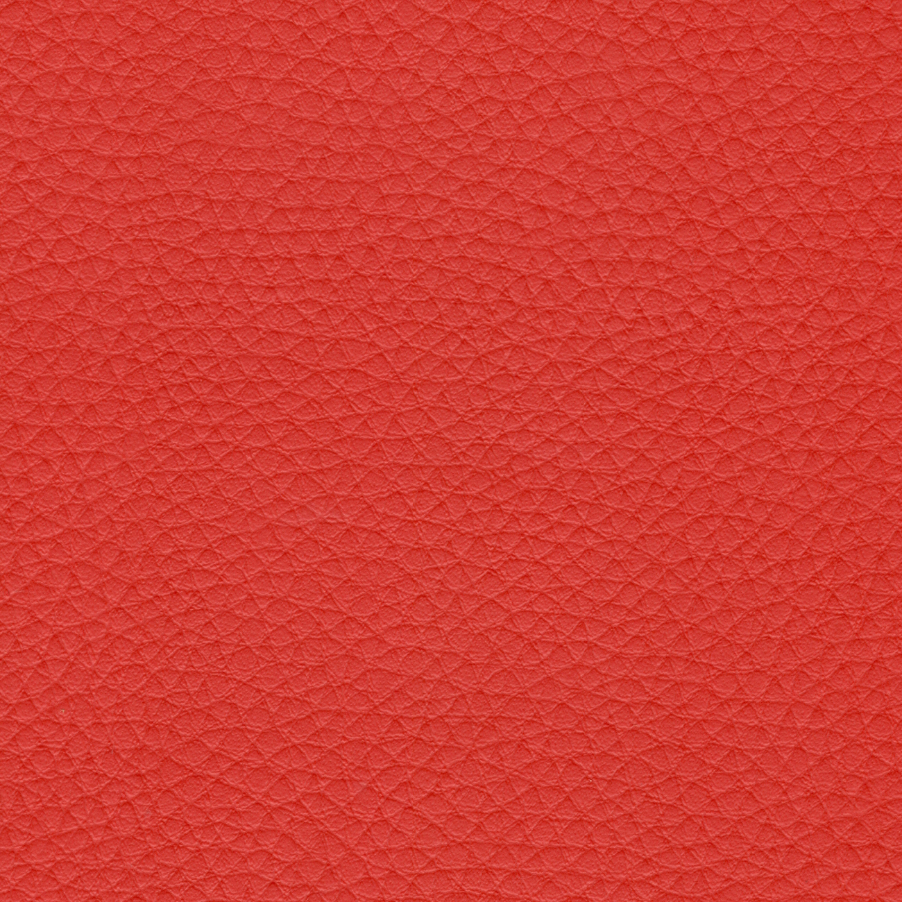 oporto ro-cristinacaballero