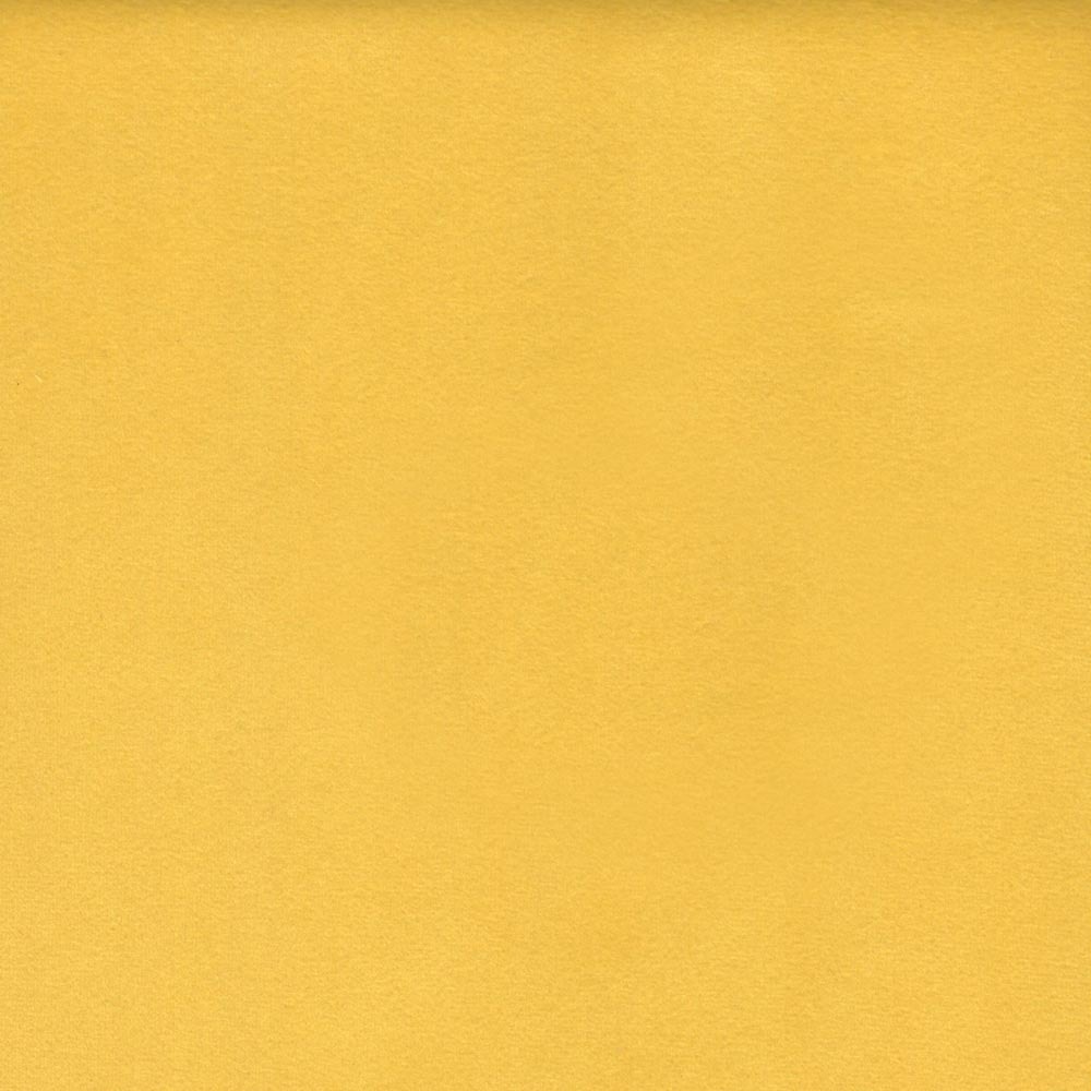 Terciopelo Amarillo 08
