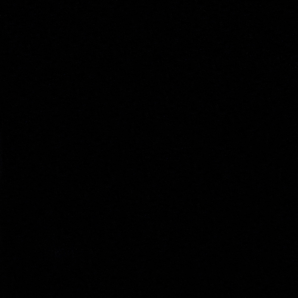 Terciopelo Negro