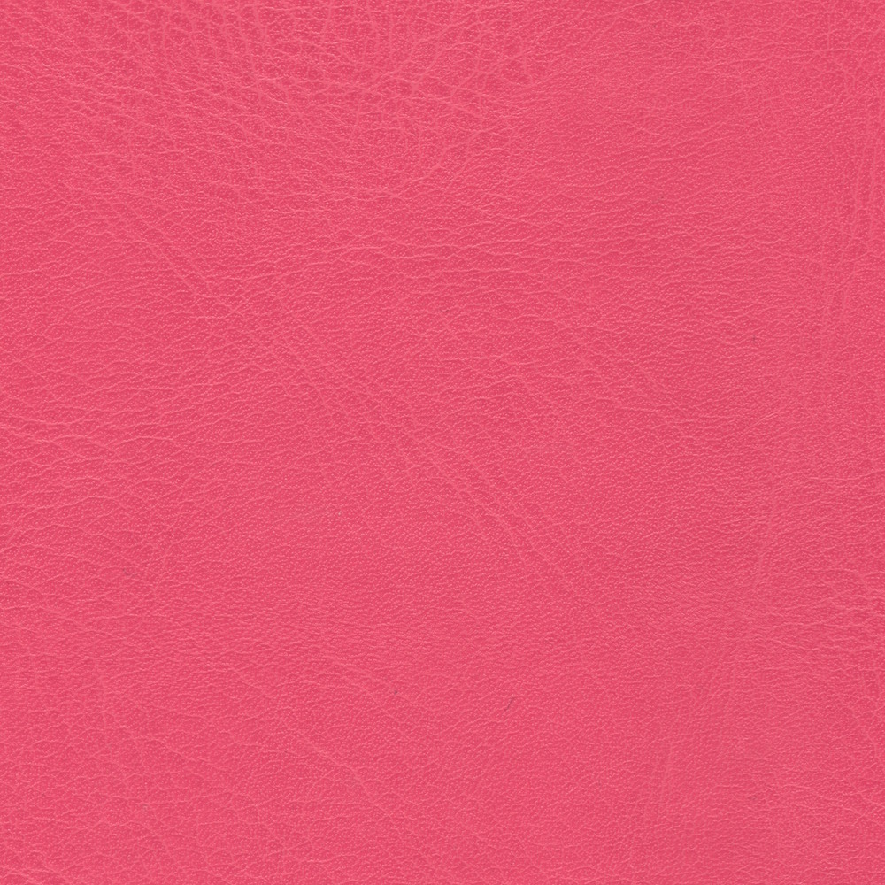 Ciervo Fucsia